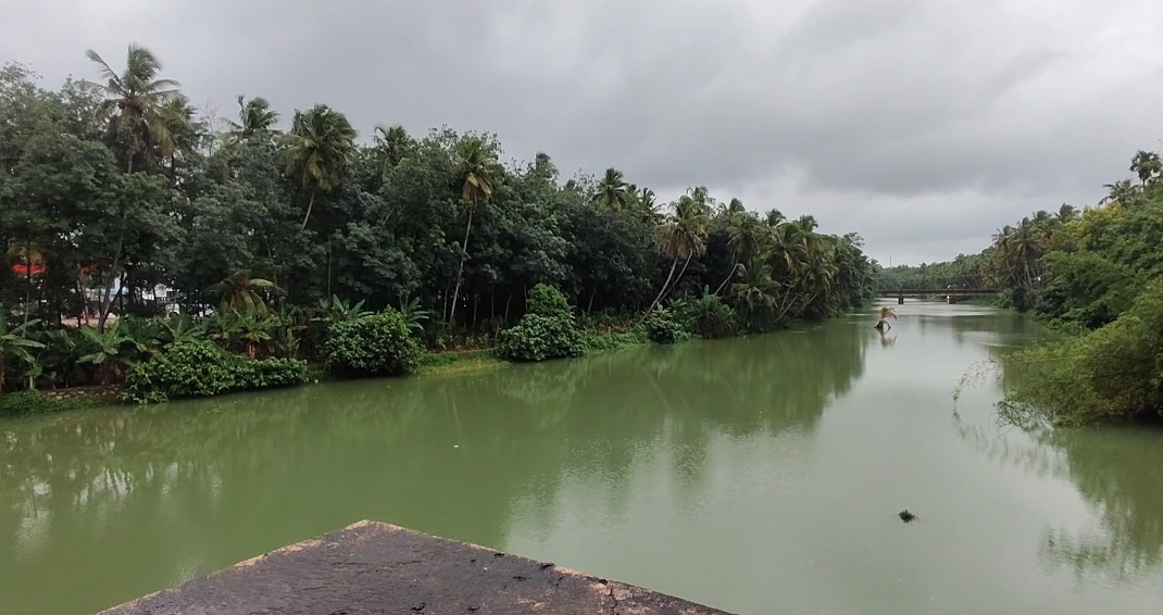 மார்த்தாண்டம் ஞாறாம்விளை சாலையில் நேசமணி நினைவு பாலத்தில் கொட்டப்படும் குப்பைகள் ஆற்றில் கலப்பதால் நோய் பரவும் அவலம்