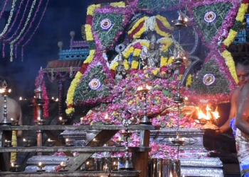 வைத்தீஸ்வரன் கோவில் ஆடி கார்த்திகை  வழிபாடு- தருமபுரம் ஆதீனம் உள்ளிட்ட பக்தர்கள் தரிசனம்