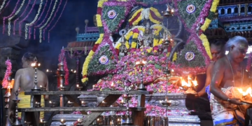 வைத்தீஸ்வரன் கோவில் ஆடி கார்த்திகை  வழிபாடு- தருமபுரம் ஆதீனம் உள்ளிட்ட பக்தர்கள் தரிசனம்