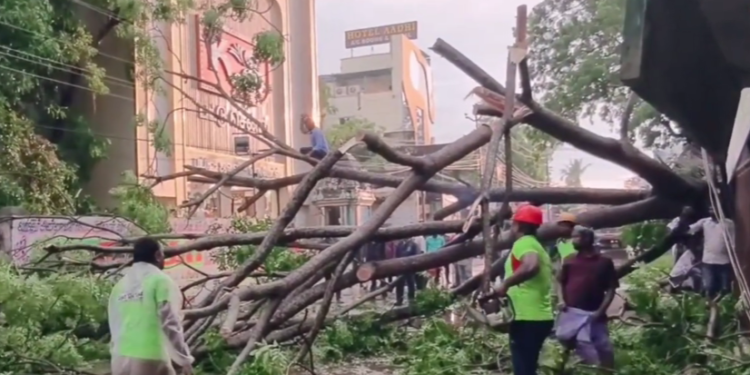 மன்னம்பந்தலில் உள்ள அரசு உதவி பெறும் AVC கல்லூரியில் உலக புகைப்பட தினத்தை முன்னிட்டு புகைப்படக்கண்காட்சி