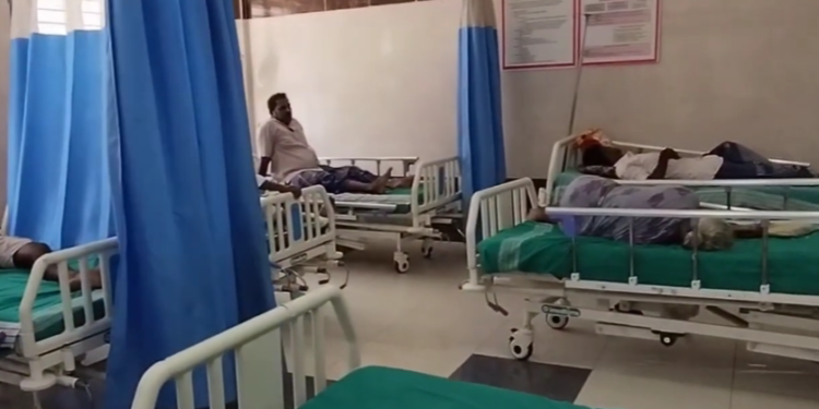 மன்னம்பந்தலில் உள்ள அரசு உதவி பெறும் AVC கல்லூரியில் உலக புகைப்பட தினத்தை முன்னிட்டு புகைப்படக்கண்காட்சி