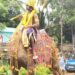 புழல் நாகப்பா இன்டஸ்ட்ரியல் எஸ்டேட்டில் குப்பை கழிவுகளால் நோய் தொற்று அபாயம்