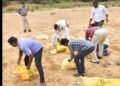தலைமைஆசிரியர் திட்டியதால், +2 மாணவி தற்கொலை முயற்சி விவகாரம், 3 ஆசிரியர் பணியிடமாற்றம்