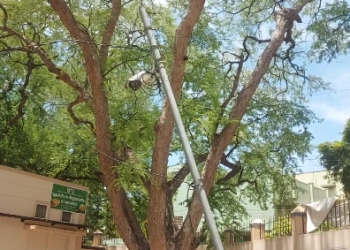 குத்தாலம் அருகே வில்லியநல்லூரில் உள்ள பிரசித்தி பெற்ற திரெளபதி அம்மன் கோயில் கும்பாபிஷேகம்