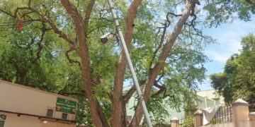 குத்தாலம் அருகே வில்லியநல்லூரில் உள்ள பிரசித்தி பெற்ற திரெளபதி அம்மன் கோயில் கும்பாபிஷேகம் 