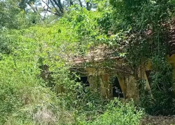 சிறு தொழில் நிறுவன உரிமையாளர்கள் மின்வாரிய அலுவலகத்தை முற்றுகையிட்டு போராட்டம்