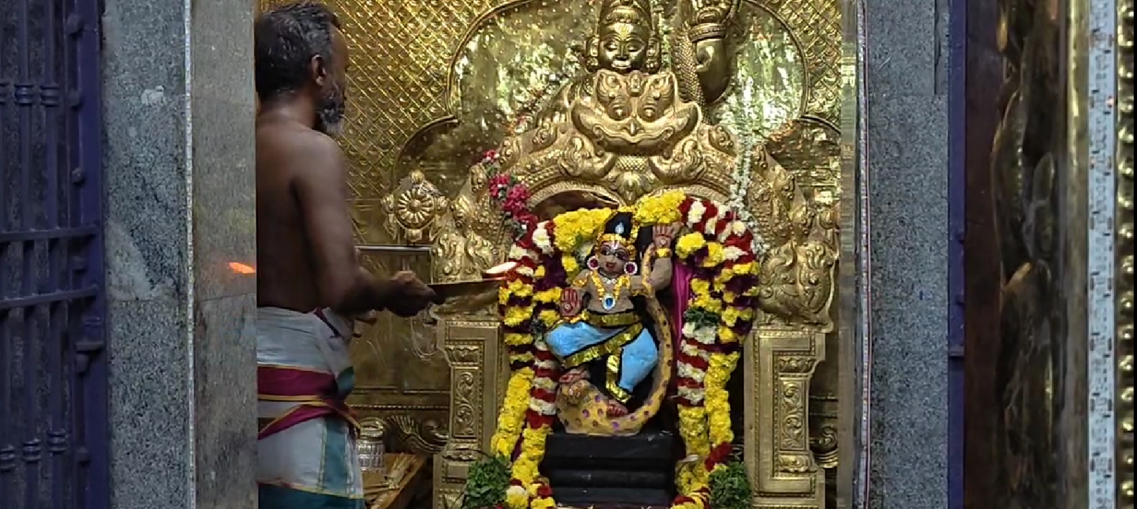 மயிலாடுதுறையில் உள்ள ஶ்ரீகாளிங்க நர்த்தன கிருஷ்ணன் கோயிலில் 105-ஆம் ஆண்டு கிருஷ்ண ஜெயந்தி விழா