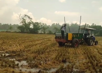 விநாயகர் சதுர்த்தி விழாவை முன்னிட்டு தரங்கம்பாடி தாலுக்கா பகுதியில் விநாயகர் சிலைகள் ஊர்வலம்