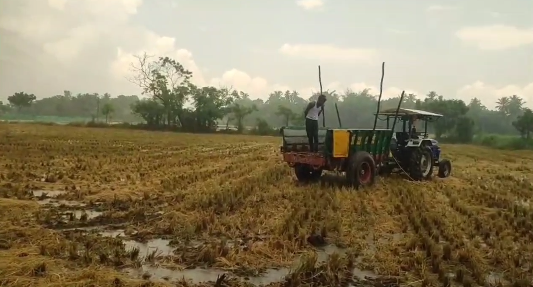 விநாயகர் சதுர்த்தி விழாவை முன்னிட்டு தரங்கம்பாடி தாலுக்கா பகுதியில் விநாயகர் சிலைகள் ஊர்வலம்
