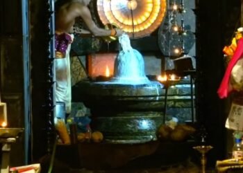 நேபாள் பெருவள்ளத்தில் தப்பிப்பிழைத்த மயிலாடுதுறை சேர்ந்த தம்பதியினர்