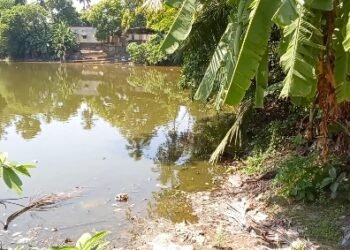 ராஜீவ்புரம் பகுதியில் தாட்கோ நிலத்தில் நவீன இறால் வளர்ப்பு மையம் அமைக்க கிராம மக்கள் சாலை மறியல்