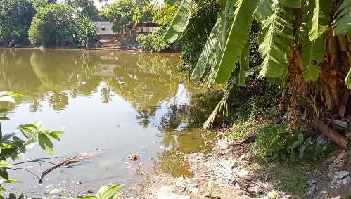 ராஜீவ்புரம் பகுதியில் தாட்கோ நிலத்தில் நவீன இறால் வளர்ப்பு மையம் அமைக்க கிராம மக்கள் சாலை மறியல்