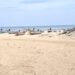 வடபட்டினம் நண்பர்களே பார்ப்பதற்காக சென்ற வாலிபர் பைக் மோதி உயிரிழப்பு