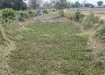விவாகரத்து பெற்று தரக்கோரி சென்றநிலையில்,வழக்கறிஞர்கள் கொலைமிரட்டல்,பாதிக்கப்பட்ட நபர் குற்றச்சாட்டு