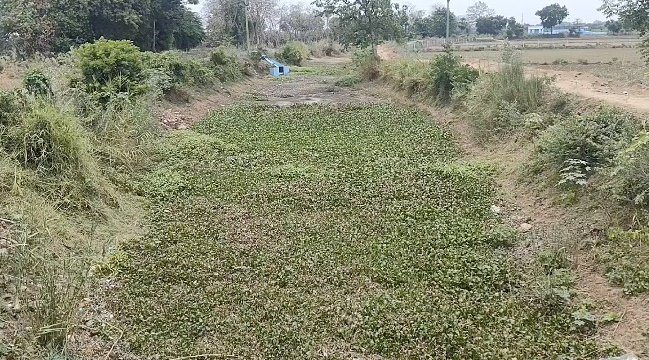 விவாகரத்து பெற்று தரக்கோரி சென்றநிலையில்,வழக்கறிஞர்கள் கொலைமிரட்டல்,பாதிக்கப்பட்ட நபர் குற்றச்சாட்டு