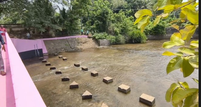 MGRபல்கலைக்கழக 36-வது பட்டமளிப்பு விழா: மத்திய நிதியமைச்சர் நிர்மலா சீதாராமன் பங்கேற்பு