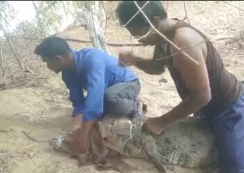 ஆசிரியர் மீது பொய்யான குற்றச்சாட்டு மயிலாடுதுறையில் உயர்நீதிமன்ற முன்னாள் நீதிபதி விமலா பேச்சு