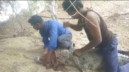 ஆசிரியர் மீது பொய்யான குற்றச்சாட்டு மயிலாடுதுறையில் உயர்நீதிமன்ற முன்னாள் நீதிபதி விமலா பேச்சு