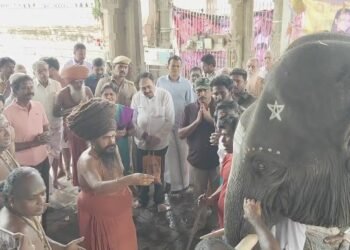 குத்தாலம் அருகே வீட்டினுள் புகுந்த முகமூடி நபர் மூதாட்டியை மிரட்டி 71/2பவுன் நகை50,000பணம் திருட்டு