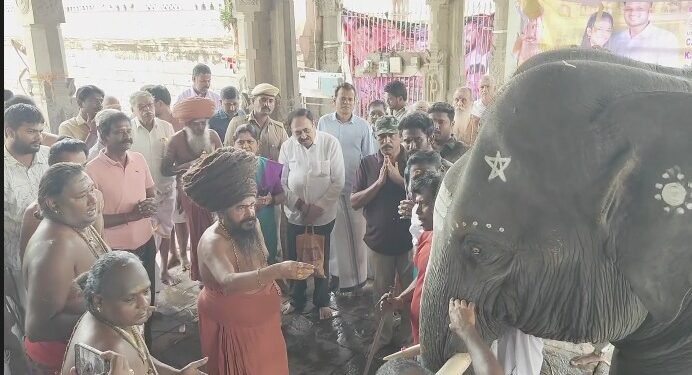 குத்தாலம் அருகே வீட்டினுள் புகுந்த முகமூடி நபர் மூதாட்டியை மிரட்டி 71/2பவுன் நகை50,000பணம் திருட்டு