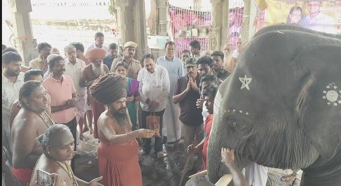 குத்தாலம் அருகே வீட்டினுள் புகுந்த முகமூடி நபர் மூதாட்டியை மிரட்டி 71/2பவுன் நகை50,000பணம் திருட்டு