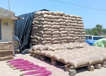 ஆரோவில் தொடர்பாக ஆட்சியரிடம் சமூக ஆர்வலர்கள் மனு