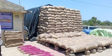 ஆரோவில் தொடர்பாக ஆட்சியரிடம் சமூக ஆர்வலர்கள் மனு