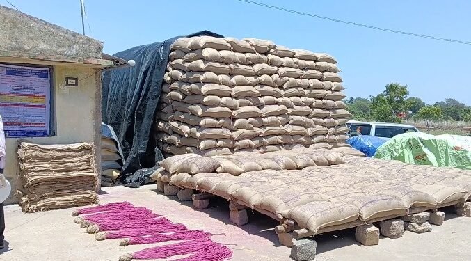 ஆரோவில் தொடர்பாக ஆட்சியரிடம் சமூக ஆர்வலர்கள் மனு
