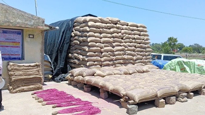 ஆரோவில் தொடர்பாக ஆட்சியரிடம் சமூக ஆர்வலர்கள் மனு