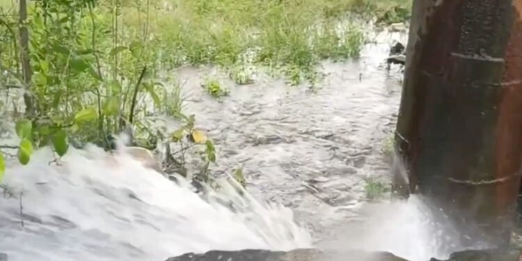 தமிழ்நாடு நுகர்வோர் வாணிபக் கழக ஊழியர்களுக்கு இடையே மாநில அளவிலான முதல்வர் கோப்பை விளையாட்டு போட்டி
