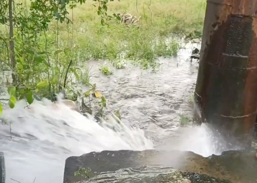 தமிழ்நாடு நுகர்வோர் வாணிபக் கழக ஊழியர்களுக்கு இடையே மாநில அளவிலான முதல்வர் கோப்பை விளையாட்டு போட்டி