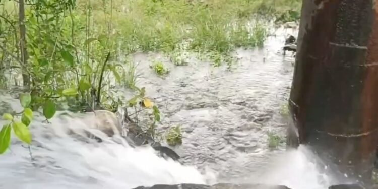 தமிழ்நாடு நுகர்வோர் வாணிபக் கழக ஊழியர்களுக்கு இடையே மாநில அளவிலான முதல்வர் கோப்பை விளையாட்டு போட்டி