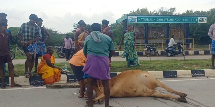 அரசூரில் மழை வேண்டி வருண ஹோமம்! 66-க்கும் மேற்பட்ட கிராமங்கள் பயன்பெற சிறப்பு வழிபாடு