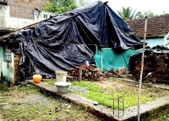 திருமக்கோட்டையில் சுற்றுச்சூழல் ஆர்வலர் மாலதிபழனிச்சாமி 1லட்சம் மரக்கன்று நடும் பணி