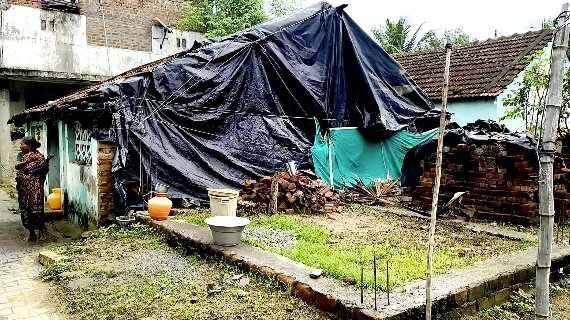 திருமக்கோட்டையில் சுற்றுச்சூழல் ஆர்வலர் மாலதிபழனிச்சாமி 1லட்சம் மரக்கன்று நடும் பணி