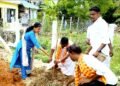 திருமக்கோட்டையில் சுற்றுச்சூழல் ஆர்வலர் மாலதிபழனிச்சாமி 1லட்சம் மரக்கன்று நடும் பணி