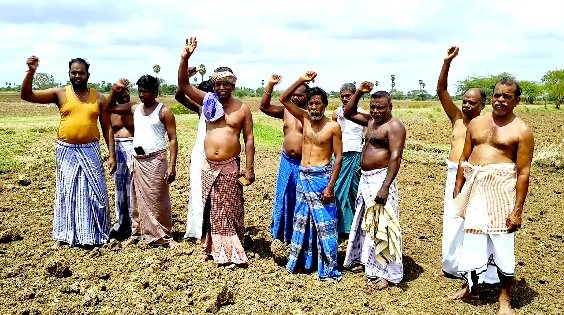 திருமக்கோட்டையில் சுற்றுச்சூழல் ஆர்வலர் மாலதிபழனிச்சாமி 1லட்சம் மரக்கன்று நடும் பணி
