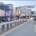 திருமக்கோட்டையில் சுற்றுச்சூழல் ஆர்வலர் மாலதிபழனிச்சாமி 1லட்சம் மரக்கன்று நடும் பணி