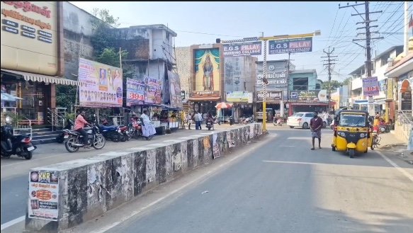 திருமக்கோட்டையில் சுற்றுச்சூழல் ஆர்வலர் மாலதிபழனிச்சாமி 1லட்சம் மரக்கன்று நடும் பணி