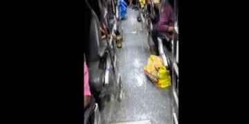 திருமக்கோட்டையில் சுற்றுச்சூழல் ஆர்வலர் மாலதிபழனிச்சாமி 1லட்சம் மரக்கன்று நடும் பணி