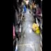 திருமக்கோட்டையில் சுற்றுச்சூழல் ஆர்வலர் மாலதிபழனிச்சாமி 1லட்சம் மரக்கன்று நடும் பணி