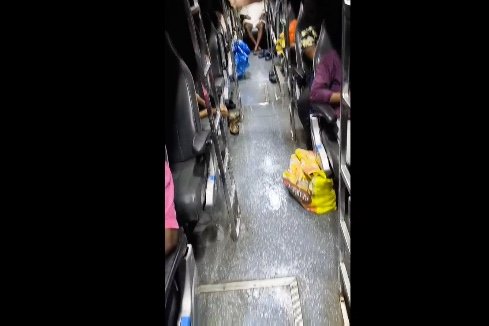 திருமக்கோட்டையில் சுற்றுச்சூழல் ஆர்வலர் மாலதிபழனிச்சாமி 1லட்சம் மரக்கன்று நடும் பணி