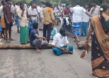 திருமக்கோட்டையில் சுற்றுச்சூழல் ஆர்வலர் மாலதிபழனிச்சாமி 1லட்சம் மரக்கன்று நடும் பணி