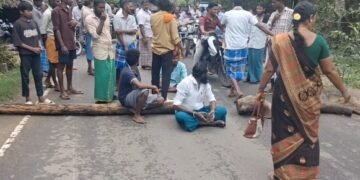 திருமக்கோட்டையில் சுற்றுச்சூழல் ஆர்வலர் மாலதிபழனிச்சாமி 1லட்சம் மரக்கன்று நடும் பணி