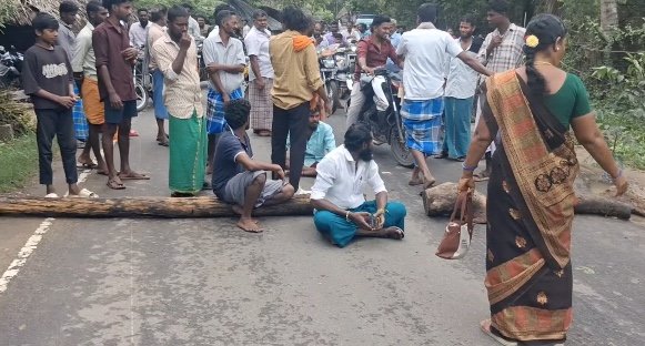 திருமக்கோட்டையில் சுற்றுச்சூழல் ஆர்வலர் மாலதிபழனிச்சாமி 1லட்சம் மரக்கன்று நடும் பணி