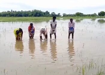 திருவாரூர் நகர் ஊரமைப்பு துறை அலுவலகத்தில் லஞ்ச ஒழிப்புத்துறை அதிகாரிகள் சோதனை