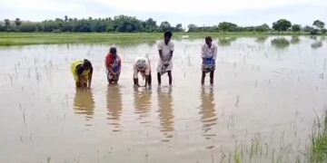 திருவாரூர் நகர் ஊரமைப்பு துறை அலுவலகத்தில் லஞ்ச ஒழிப்புத்துறை அதிகாரிகள் சோதனை