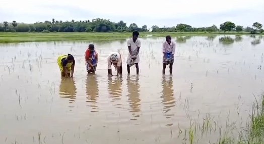 திருவாரூர் நகர் ஊரமைப்பு துறை அலுவலகத்தில் லஞ்ச ஒழிப்புத்துறை அதிகாரிகள் சோதனை